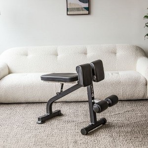 LifePro Roman Chair Hyperextension Bench - Adjustable Back Extension Machine for Glutes, Hamstrings, and Lower Back, Foldable for Home Gym Fitness - 1 of 4
