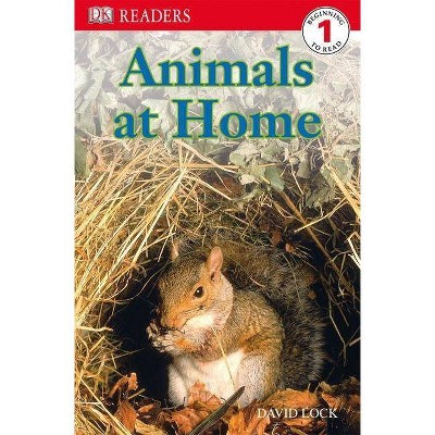 DK Readers L1: Animals at Home - (DK Readers Level 1) by  David Lock (Paperback)