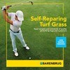 Barenbrug Turf Star RPR Grass Seed with Yellow Jacket Coating, 10lb - 3 of 4