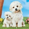 Collections Etc Realistic Maltese Dog Outdoor Garden Stake NO SIZE - 2 of 2