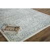 Rugs America Windsor Oriental Transitional Area Rug - 3 of 4