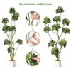 5FT/6FT/7FT Artificial Umbrella Schefflera Tree - Multiple Trunks Design in White Pot - Faux Floor Plant for Home Office or Indoor Decor - 4 of 4