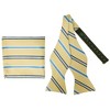 Men's Stripes 2.75" x 4.75" Adjustable 16" - 20" Freestyle Self Tie with Hankie Set - 2 of 4