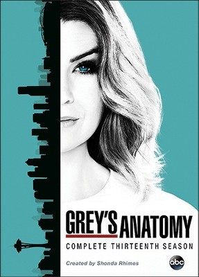 Grey's Anatomy: The Complete Thirteenth Season (DVD)