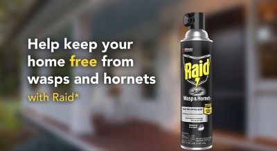 Raid 14 oz. Wasp and Hornet Killer Twin Pack SCJ649019 - The Home Depot
