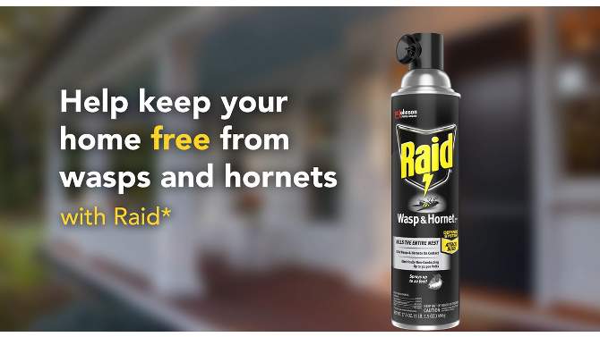 Raid 14oz 2ct Wasp &#38; Hornet KillerTwin Pack, 2 of 16, play video