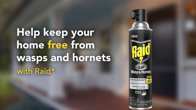 Raid Wasp &#38; Hornet Killer - 14oz, 2 of 16, play video
