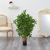 Nearly Natural 3.5-ft Black Olive Artificial Tree - image 3 of 4