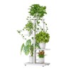 TROPOW Support pour plantes en métal à 4 niveaux - Étagère à fleurs pour l'intérieur et l'extérieur - Support pour plantes d'intérieur et balcon - 3 of 4