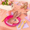 Jollity & Co. - Chocolate Bunny Dinner Plates - Pack of 8 Paper Plates, 2 of Each Color - 3 of 4