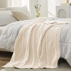 Attop Chevron Chenille Knit Throw Blanket for Couch, Cozy Texture Decorative Soft Blanket for Sofa & Chair, 50"x60", Ivory - 4 of 4