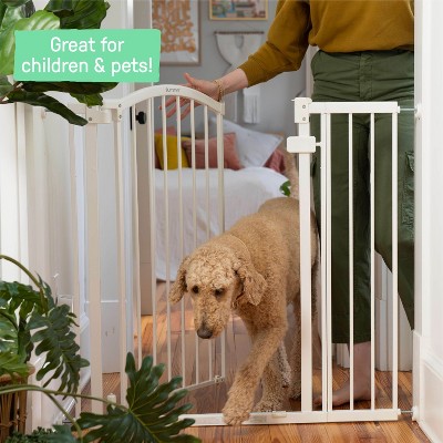 Summer by Ingenuity The Thruway 53W Series Gate - White