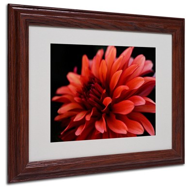 Trademark Fine Art - Kurt Shaffer 'Red Dhalia' Matted Framed Art