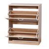 MAYEERTY Wooden Shoe Cabinet for Entryway, Shoe Storage Cabinet with 2 Flip Doors - 3 of 4
