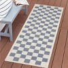Playa Rug Daisy Rectangle Woven Indoor Outdoor Rugs - 2 of 4