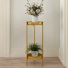 Angel Sar 2-Tier Round Metal Plant Stand, Large Gold Plant Pot Stand for Indoor Plants, Modern Tiered Display for Multiple Pots - 2 of 4