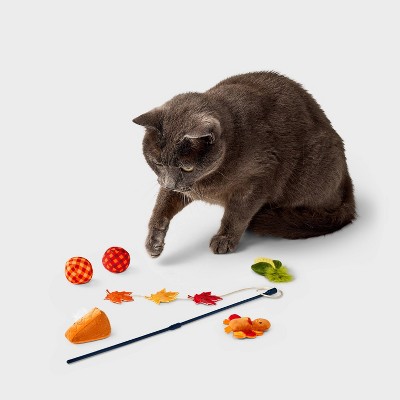 Thanksgiving Cat Wand Plush Toy Set - 6pk - Boots & Barkley™