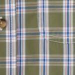 safari green check