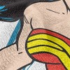 Wonder Woman WW Burst Pose Blanket 50"x60" Woven Tapestry - 4 of 4