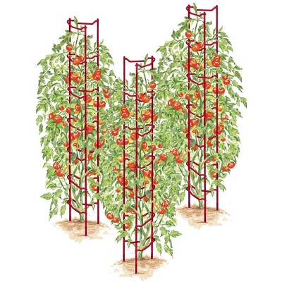 Gardeners Supply Company Red Tomato Ladders | Heavy Gauge Sturdy Garden ...