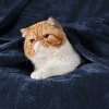 Cozy Comfort by Bedsure | Flannel Blanket Solid 260GSM Soft Fuzzy Plush Bed Blanket - 3 of 4