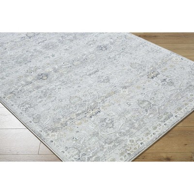Hauteloom Cheree Living Room, Bedroom Area Rug - Traditional