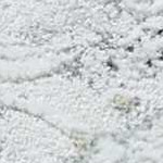 light sage, light gray, gray