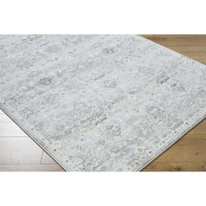 Hauteloom Cheree Living Room, Bedroom Area Rug - Traditional - 1 of 4