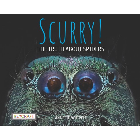 Scurry: The Truth about Spiders - by Annette Whipple - image 1 of 1