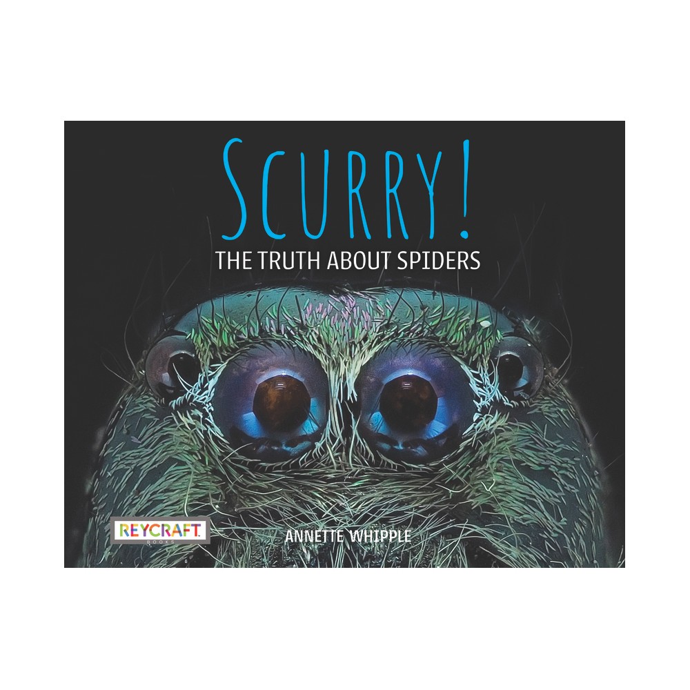 Scurry: The Truth about Spiders