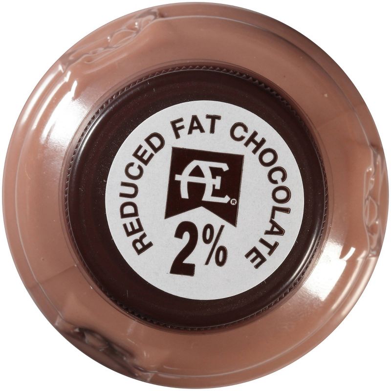 Anderson Erickson Reduced Fat Chocolate Milk - 12 fl oz, 5 of 6