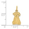 Black Bow Jewelry 14k Yellow Gold Puppy Charm and Pendant - 4 of 4