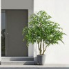 ACEPANO 82.7 in. H Large Artificial Ficus Tree with Natural Trunk and Realistic Silk Leaves for Indoor/Outdoor Home and Office Decor-Green - 3 of 4