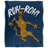 Scooby-Doo Ruh Roh Officially Licensed Silky Touch Super Soft Throw Blanket 50" x 60" - 2 of 4