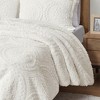 NicBex 2 PCS/3 PCS Faux Fur Comforter Set with Embroidered Medallion Pattern,Quilt Sets with Mink Reverse,Hypoallergenic Comforter,Shams - 4 of 4