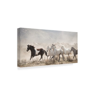 Trademark Fine Art -Phburchett 'Open Range' Canvas Art