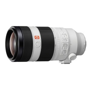 Sony Alpha FE 100-400mm F4.5-5.6 GM Super Telephoto Zoom Lens - 1 of 4