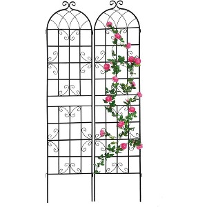 Metal Plant Trellises for Climbing Plants - 1 of 4