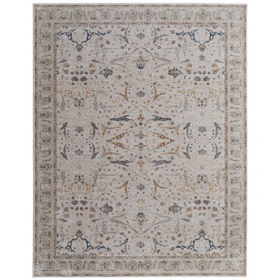 Pasha Transitional Ikat Area Rug