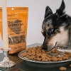 Dexypaws Pumpkin & Cranberry Dog Biscuits 12oz - Natural Pet Treats - 3 of 4