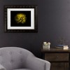 Trademark Fine Art - Brian Carson Backyard Flowers 67 Matted Framed Art - image 2 of 4