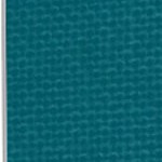 jacksonville jaguars