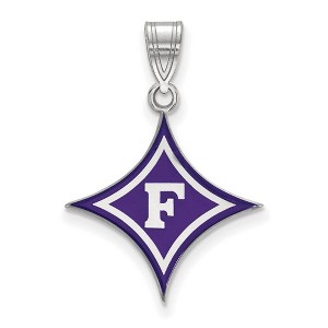 Black Bow Jewelry Sterling Silver Furman Paladins NCAA Large Pendant - 1 of 3