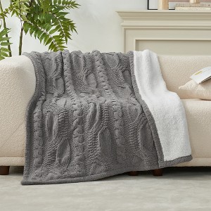 Amelie Home Reversible Chenille Cable Knit Throw Blanket - 1 of 4