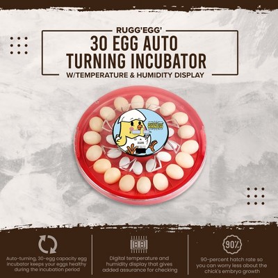 Rugg'EGG' Ranch 30 Egg Red Clear Top Incubator