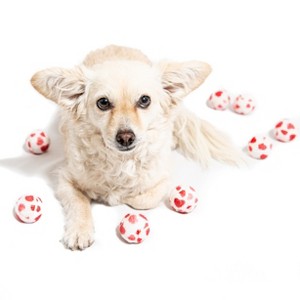 Midlee Valentine's Hearts Dog Tennis Balls- Mini- Fetch Gift Small - 1 of 4