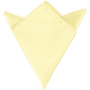 Elerevyo Men Foldable Satin Shiny Solid Color Pocket Squares - 1 of 4