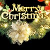 vidaXL Christmas Wreath with 15 LEDs Green 11.8" - 3 of 4