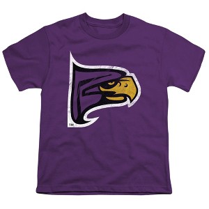 Hunter College Distressed Primary Logo Kids T-Shirt For Youth Purple - 1 of 4
