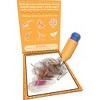 Teacher Created Resources® Dinosaurs Water Reveal, 6 Sets - 4 of 4